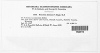 Image Associated With the Occurence